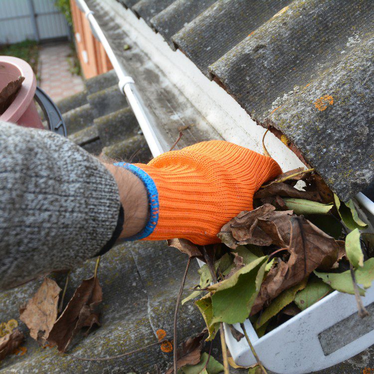 Gutter Cleaning Gutter Cleaning